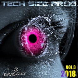 Tech Size Prog 2018 Vol. 3