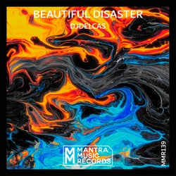 Beautiful Disaster