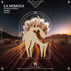 La Mimosa