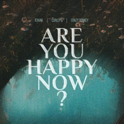 Are You Happy Now