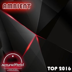 Ambient Top 2016