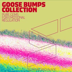 Goose Bumps Collection, Vol. 5