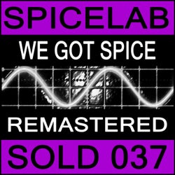 We Got Spice Remixes (Remastered)