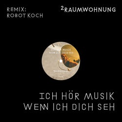 Ich hör Musik wenn ich dich seh (Robot Koch Remix Radio Edit)