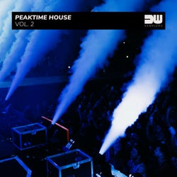 Peaktime House, Vol. 2