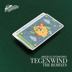 Tegenwind The Remixes