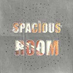 Spacious Room, Vol. 5