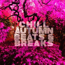 Chill Autumn Beats & Breaks - Relaxing Vibes