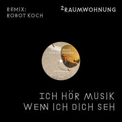 Ich hoer Musik wenn ich dich seh (Robot Koch Remix)