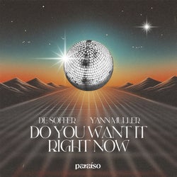 Do You Want It Right Now (Extended Mix)