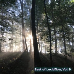 Best of Lucidflow, Vol. 9