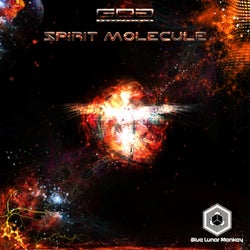 Spirit Molecule