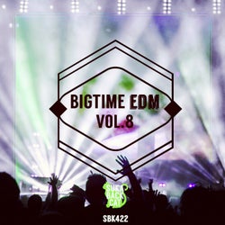 Bigtime EDM, Vol. 8