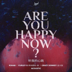 Are You Happy Now (Acoustic)