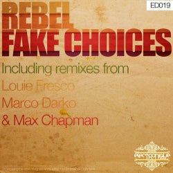 Fake Choices EP