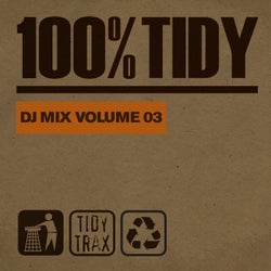 100%% Tidy, Vol. 3