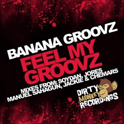 Feel My Groovz