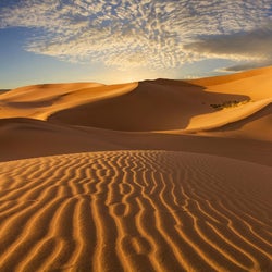 Gobi  desert