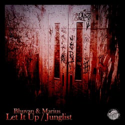 Let It Up / Junglist