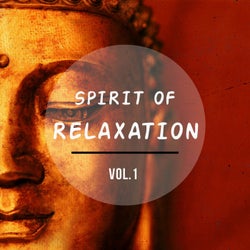 Spirit Of Relaxation, Vol. 1 (Anti Stress Relaxing Meditation Music)