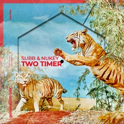 Two Timer - Extended Mix