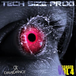 TECH SIZE PROG vol. 4 (released)