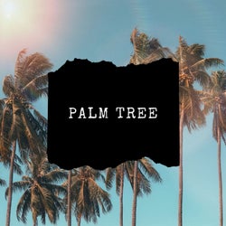 Palm Tree