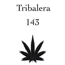 Tribalera