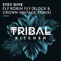 Fly Robin Fly (Block & Crown Vintage Remix)