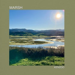 Marsh