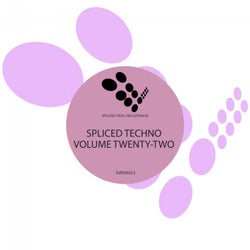 Spliced Techno, Vol. 22