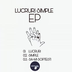 Lucruri Simple