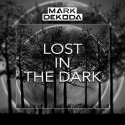 Lost in the Dark