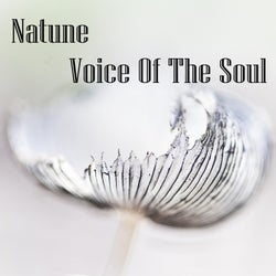 Voice Of The Soul