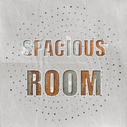 Spacious Room, Vol. 4