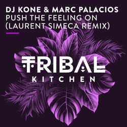 Push the Feeling On (Laurent Simeca Remix)