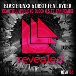 Beautiful World - D-Block & S-te-Fan Remix