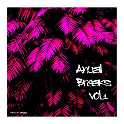 Anual Breaks Vol.1