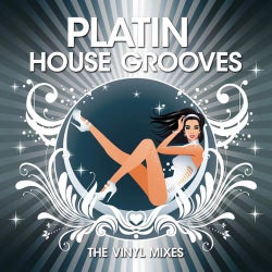 Platin House Grooves (The Vinyl Mixes)