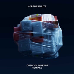 Open Your Heart Remixes