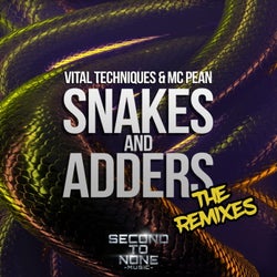 Snakes and Adders - The Remixes