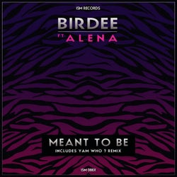 Meant to Be (feat. Alena)