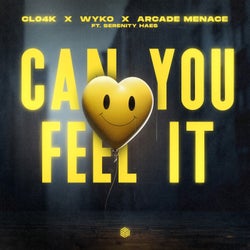 Can You Feel It (Extended Mix)