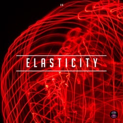 Elasticity