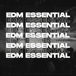 EDM ESSENTIAL 2024