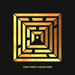 Fade Out Lines - Sammi Ferrer & Chaleee Remix