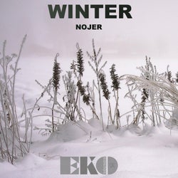 Winter - Single