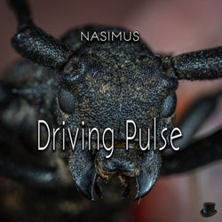 Driving Pulse