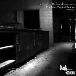 2 Years Of Dark And Sonorous - The Best Original Tracks