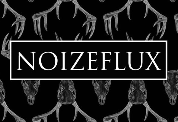 NoizeFlux